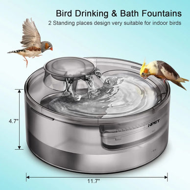 Transform Your Pet's Hydration